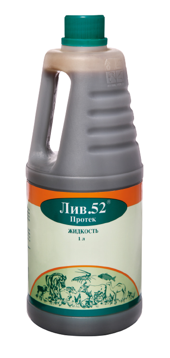 Liv.52 Protec liquid